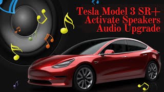 2021 Tesla Model 3 Upgrade  Activate Speakers for Audio in Standard Range Plus Hansshow DIY [upl. by Inger593]