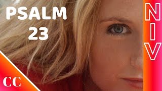 Psalm 23  NIV  Scripture Worship  Bible Song [upl. by Euginimod]