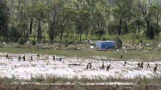 Raw Footage Grantham Queensland Floods Lockyer Valley Ground Zero [upl. by Kyne]