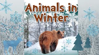 🦊 Animals in winter by Jenna Lee Gleisner  Winter Books for Preschool [upl. by Agretha739]