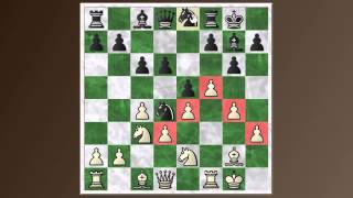 The Botvinnik system in the English Botvinnik vs Sherbakov [upl. by Haodnanehs]