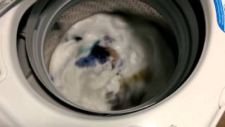 2014 Maytag Bravos XL  short clip of agitation [upl. by Gisele]