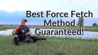 Best Force Fetch Method Guaranteed [upl. by Zia]