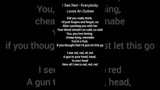 I See Red  Everybody Loves An Outlaw lyricssongs lyirics songlyrics iseered music [upl. by Ernesto]