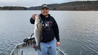 Beltzville Lake Striped Bass PA Fishing [upl. by Eisus]