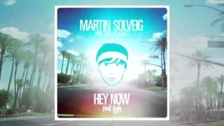 Martin Solveig and The Cataracs feat Kyle  Hey Now [upl. by Aeslehc]