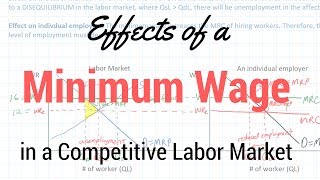 Minimum Wages in Competitive Labor Markets [upl. by Naek]