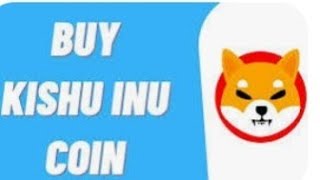 introduction of kishu inu  should i buy [upl. by Onitsirc]