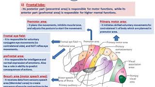 Functional cortical areas of the brainDrAhmed Farid [upl. by Miculek]