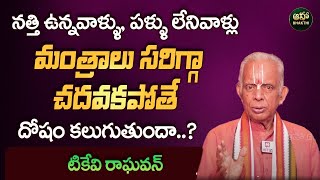 మంత్రాలు సరిగ్గా చదవకపోతే దోషం కలుగుతుందా  Dharmasandehalu  TKV Raghavan  Aha Bhakthi [upl. by Macpherson]