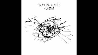 Floating points  Elaenia [upl. by Godred427]