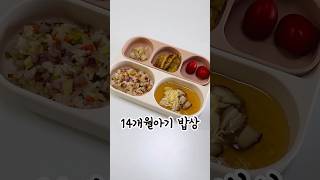 14개월아기 밥상 아기 저녁메뉴 추천 유아식 유아식레시피 아기식단 유아식단 아기반찬 아기국 아기식판 14개월아기 14개월아기식단 [upl. by Tacita]