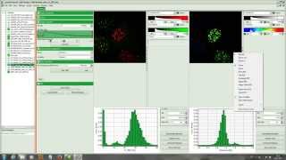 SymPhoTime Tutorial Calculate ratiometric FRETImages [upl. by Aihsilef31]