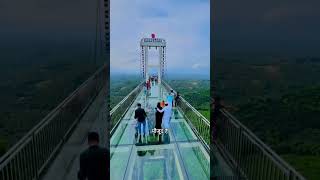 India’s Most Thrilling Glass Bridge Experience 🌟 rishikeshglassbridgeamazingfacts shortsfeed [upl. by Pubilis]