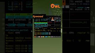 How to get Hollywood in your Linux Terminal [upl. by Zsamot813]