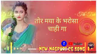 tor maya ke bharosa chahunga तोरे माया के भरोसा चाही गा cg song new 2024 [upl. by Aiza932]