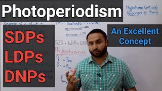 Photoperiodism  SDPs  LDPs  DNPs  Role of Phytochromes  Class 12 Biology [upl. by Johiah]