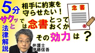 念書の書き方と効力／相模原の弁護士相談 [upl. by Anhpad]