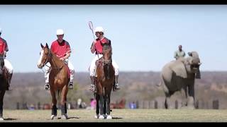 Zambia Polocrosse [upl. by Jarv324]