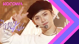 Stray Kids  Domino Show Music Core Ep 739 [upl. by Noivax]