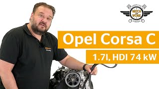 TUTORIAL How to replace the timing belt on the 12L Puretech engine [upl. by Mosnar]