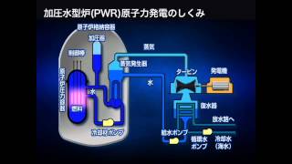 加圧水型炉（PWR）原子力発電のしくみ [upl. by Doi348]