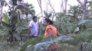 THE PACIFIC WAY STORY  MORDI Tonga Innovative Rural Development [upl. by Lalib]