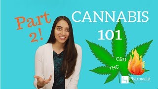 Cannabis 101 Part 2 TerpenesFlavonoidsTHCCBDHeat [upl. by Ardnaeed]