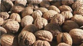 Gardening From Seeds  How to Plant a Walnut Seed [upl. by Fogel]