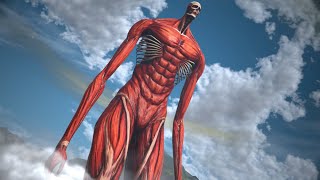 The Colossal Titan Showcase [upl. by Hendrik]