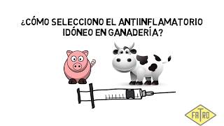 ¿Cómo selecciono el antiinflamatorio idóneo en ganadería [upl. by Lenahtan]