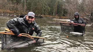 THE BEST STEELHEAD FISHING IN THE ENTIRE WORLD [upl. by Kuhlman352]