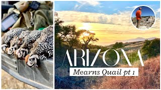 Arizona Mearns QuailTheyre GONE Part 1 [upl. by Aicella778]