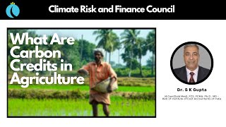 What Are Carbon Credits in Agriculture [upl. by Wooldridge562]