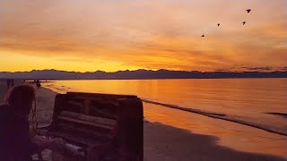 quotPiano Buskerquot AJ Hickling sunset concert at Tahunanui Nelson New Zealand [upl. by Leinahtam991]