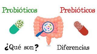 🦠 Probióticos y Prebióticos 💥 ¿Qué son 🧫 Funciones Fácil y Rápido  BIOLOGÍA [upl. by Elleynod]