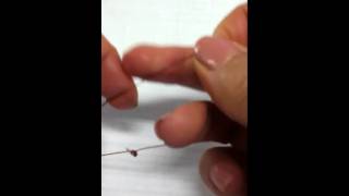 How to tie a blood knot the easy way [upl. by Naman]