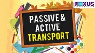 Passive and Active Transport [upl. by Domingo]