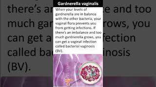 Gardnerella vaginalis [upl. by Notnef366]