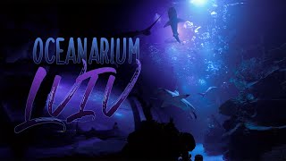 Oceanarium Lviv Океанаріум Львів цікаві місця [upl. by Daisey]