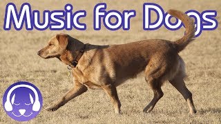 15 Hours of Classical Music for Dogs  Help your Dog Sleep FAST 2019 [upl. by Kaila321]