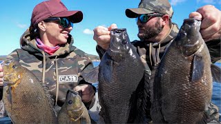 Sooty Grunter Fishing  Eungella Dam [upl. by Ecineg]