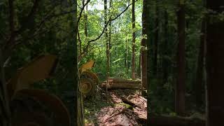 WV Cable Skidder Logging Tigercat 602 [upl. by Pietje]