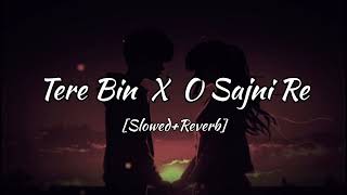 Tere Bin X Sajni Re  Atif Aslam  Arijit Singh  2024 song [upl. by Leihcey]