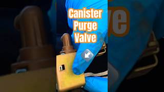 How to replace canister purge valve cars 2000 chevy prizm repairs diy howto vegas [upl. by Tobin]