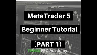 MetaTrader 5 Beginner Tutorial Part 1 [upl. by Kerwinn]