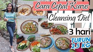 Cara Cepat Kurus 3 hari turun 23kg Tanpa Olahraga dgn Cleansing Diet  Menu Makanan  dr Emasuperr [upl. by Akemihs241]