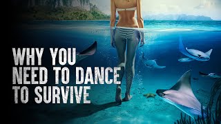 How to Survive Falling Into a Pool of Stingrays [upl. by Sower]