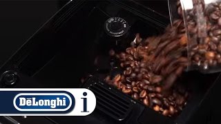 How to make Coffee using Beans in your DeLonghi Autentica ETAM 29660SB Coffee Machine [upl. by Pelmas]