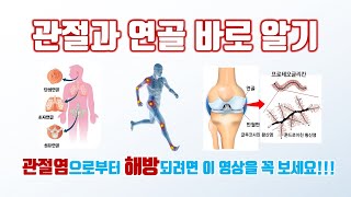 관절과 연골 바로알기 관절건강ㅣ연골재생ㅣ관절과 연골 특히 프로테오글리칸에 대해 바로 알아야 관절염을 예방하고 관절건강을 유지할 수 있다 [upl. by Sherborne]